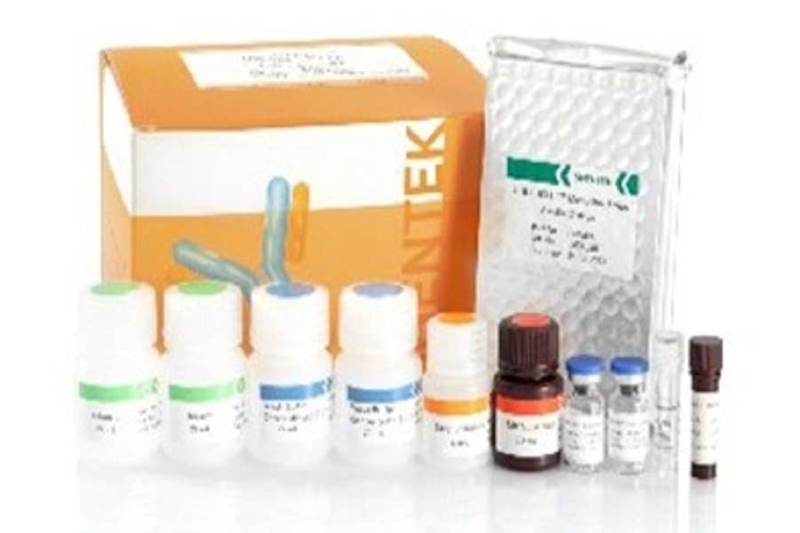 Introduction de la méthode d'analyse HCP ELISA de la protéine de la cellule hôte