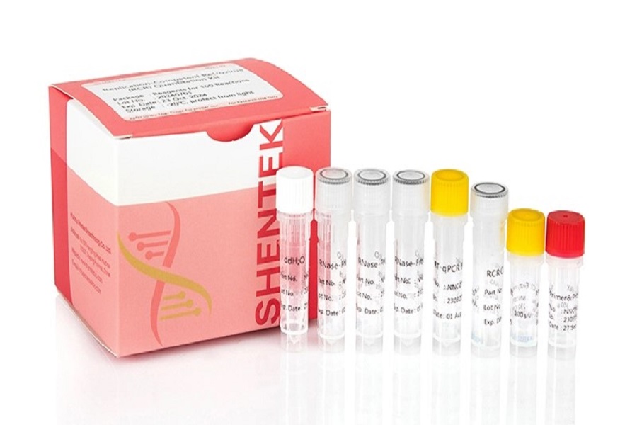 Principales méthodes de test RCR