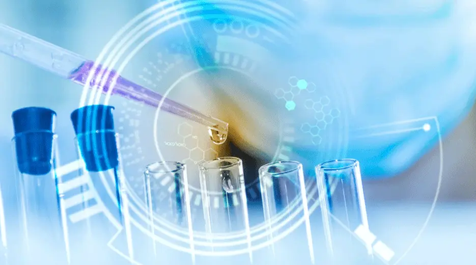 Profil de l'entreprise