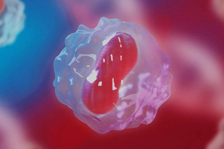 Produits de thérapie cellulaire