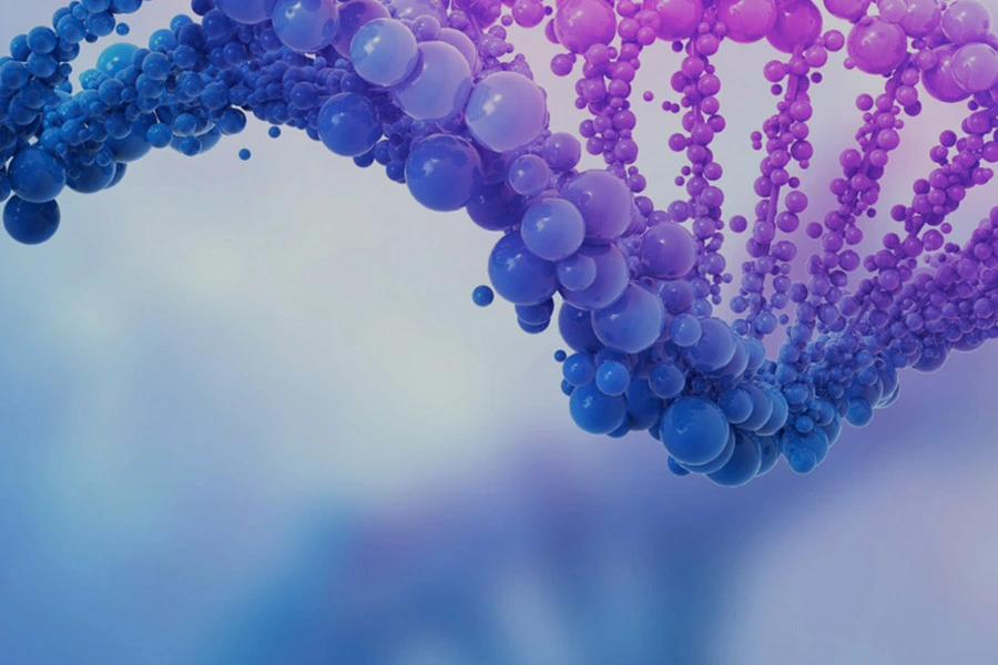 Protéines recombinantes et anticorps thérapeutiques