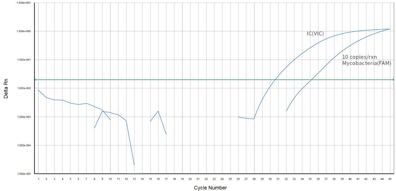 mycoplasma-test-pcr