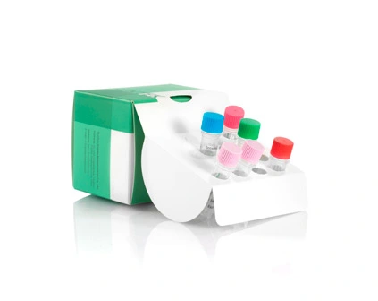 Kit d'extraction d'ADN de champignons et bactéries