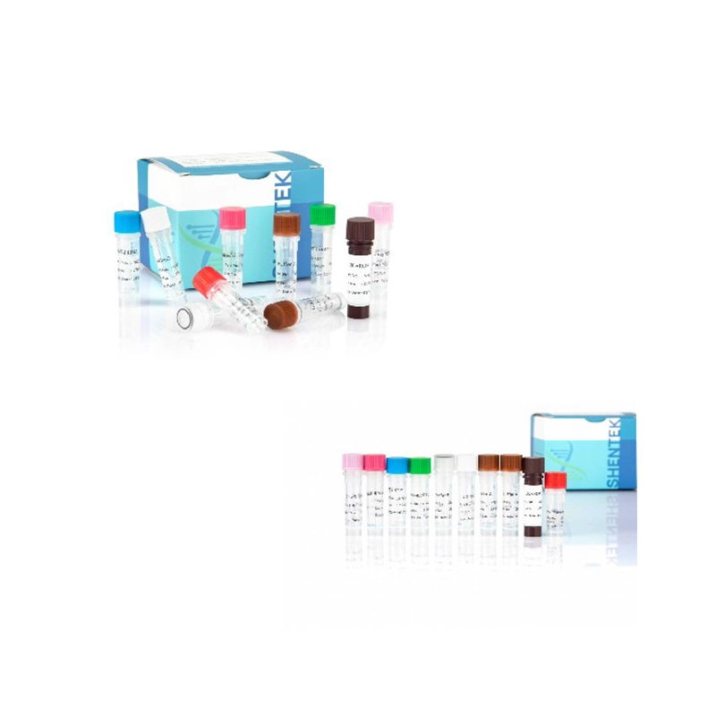 Caractérisation de la ligne cellulaire