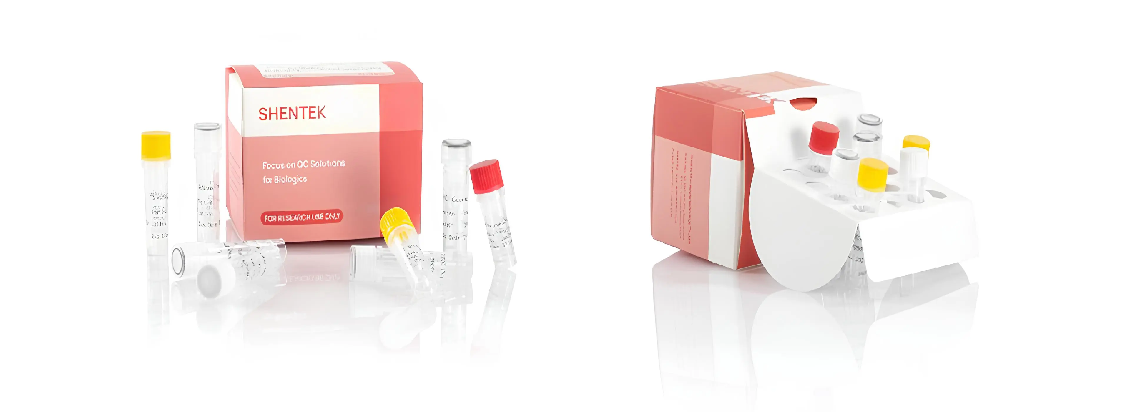 Réplication-Quantité de virus compétente