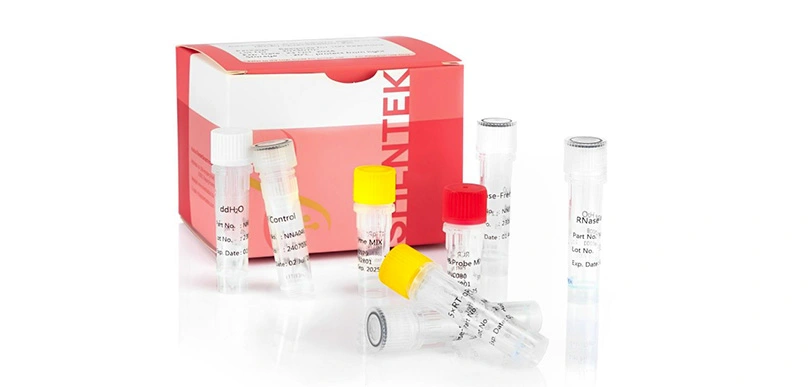 Réplication-Quantité de virus compétente