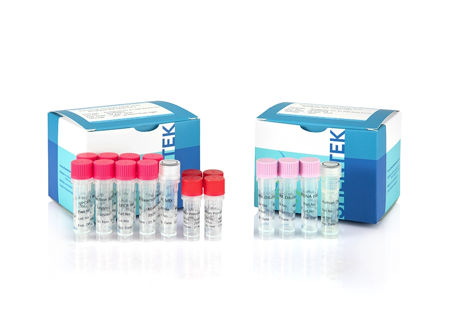 Kit d'analyse de la taille de l'ADN humain résiduel (2G)