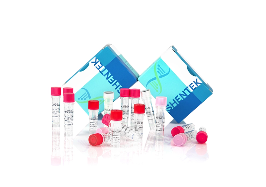 Kit d'analyse de la taille de l'ADN d'E. coli résiduelle (2G)