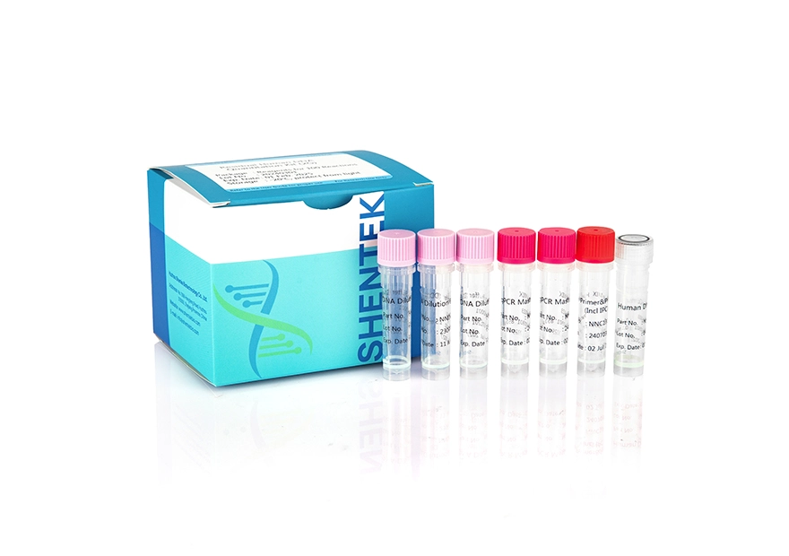Kit de quantification de l'ADN humain résiduel (2G)