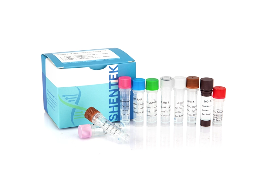 Kit de test de transcriptase inverse