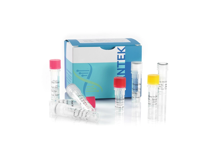 Kit de quantification de l'ARN E.coli résiduel (2G)
