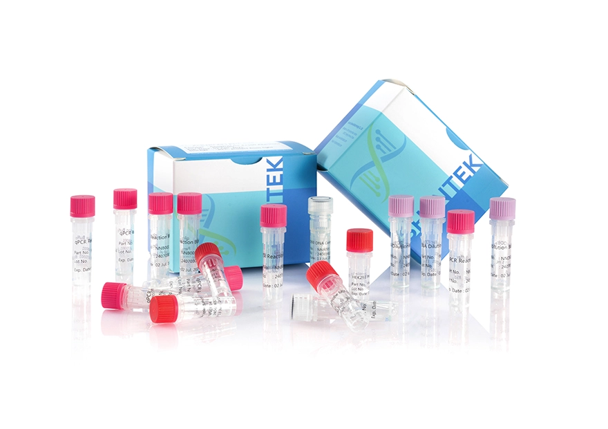 Kit d'analyse de la taille de l'ADN HEK293 résiduel