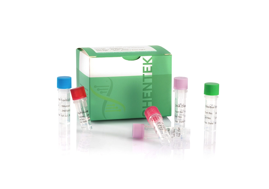 Kit de détection d'ADN Mycoplasma (2G)