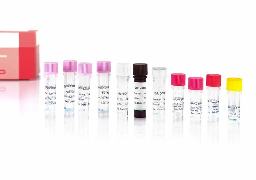 RcAAV-5/N Kit de quantification