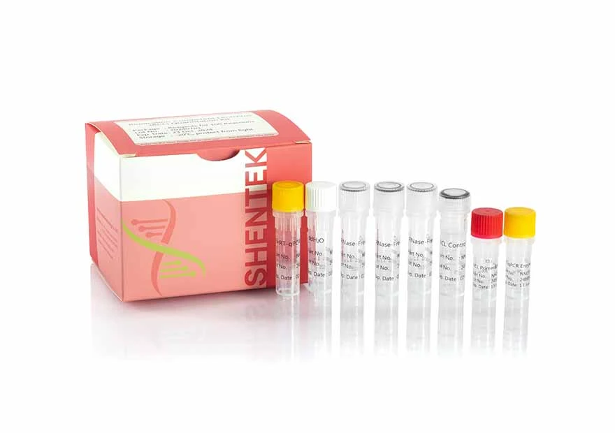 Kit de quantification de la réplication-Lentivirus compétent (RCL)