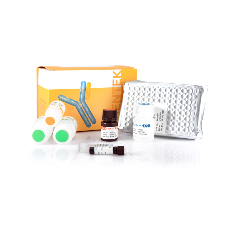 Kit ELISA CHO K1 HCP (ELISA en une étape)