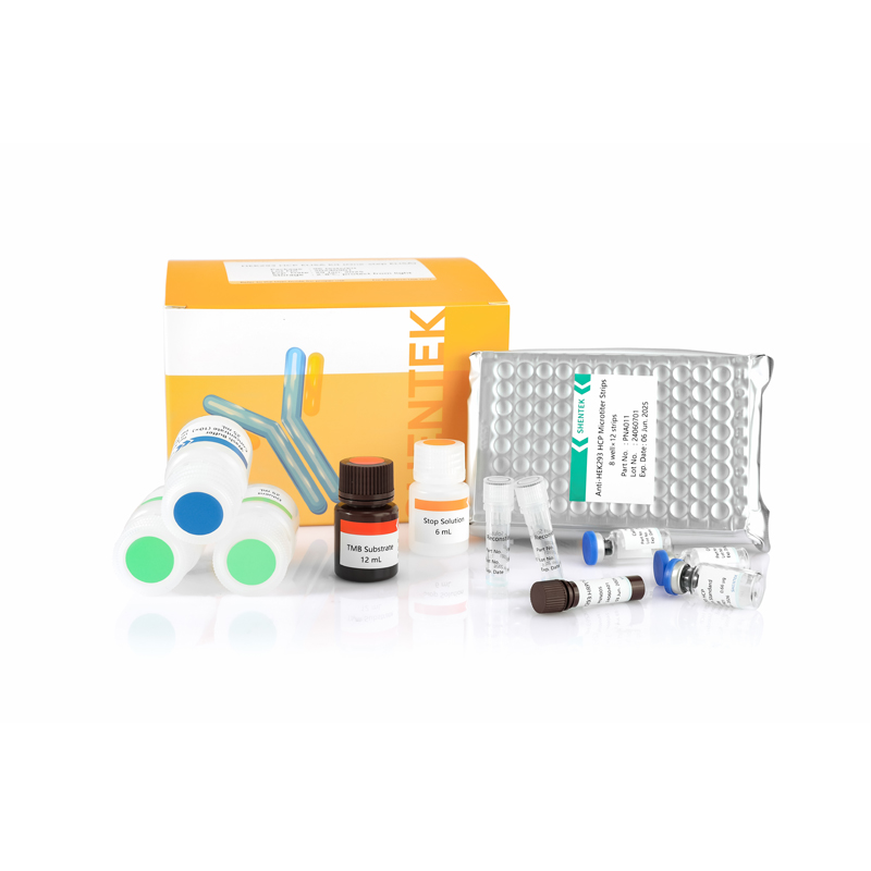 HEK293 HCP ELISA Kit (ELISA en une étape)