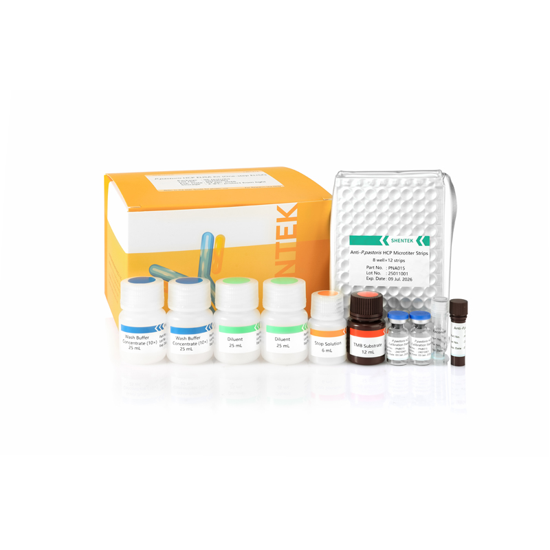 P.pastoris HCP ELISA Kit (ELISA en une étape)