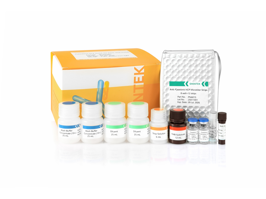 P.pastoris HCP ELISA Kit (ELISA en une étape)