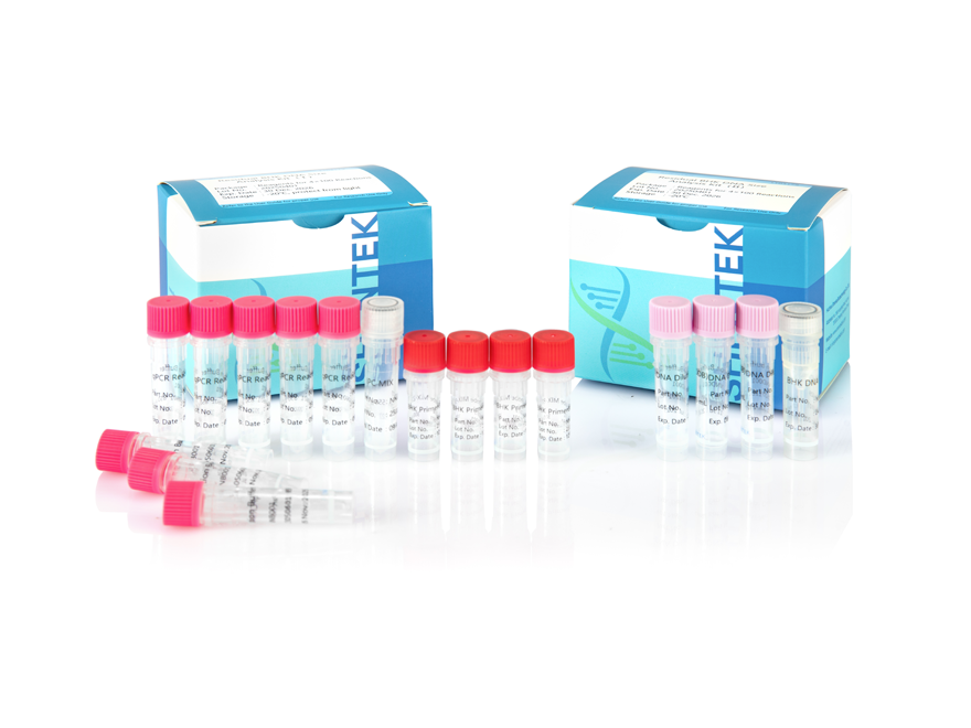 Kit d'analyse de la taille de l'ADN BHK résiduel