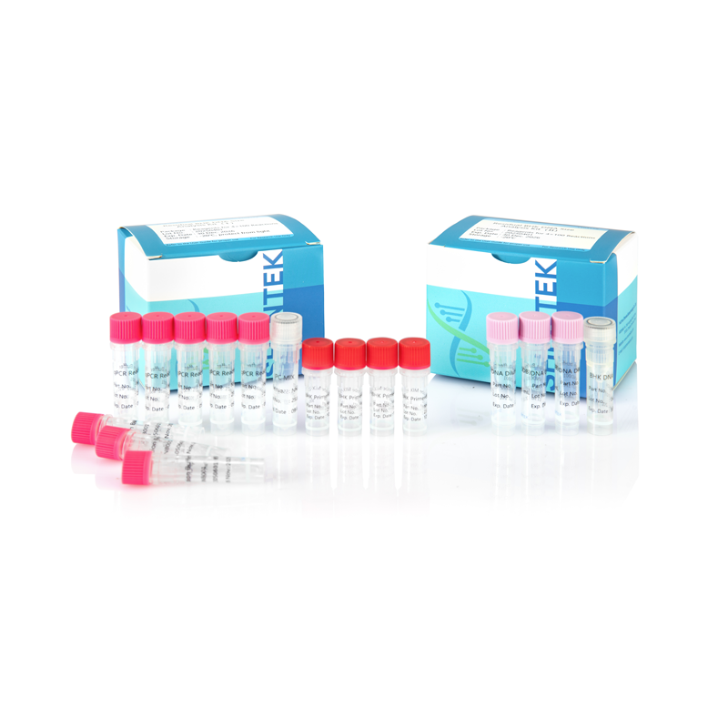 Kit d'analyse de la taille de l'ADN BHK résiduel