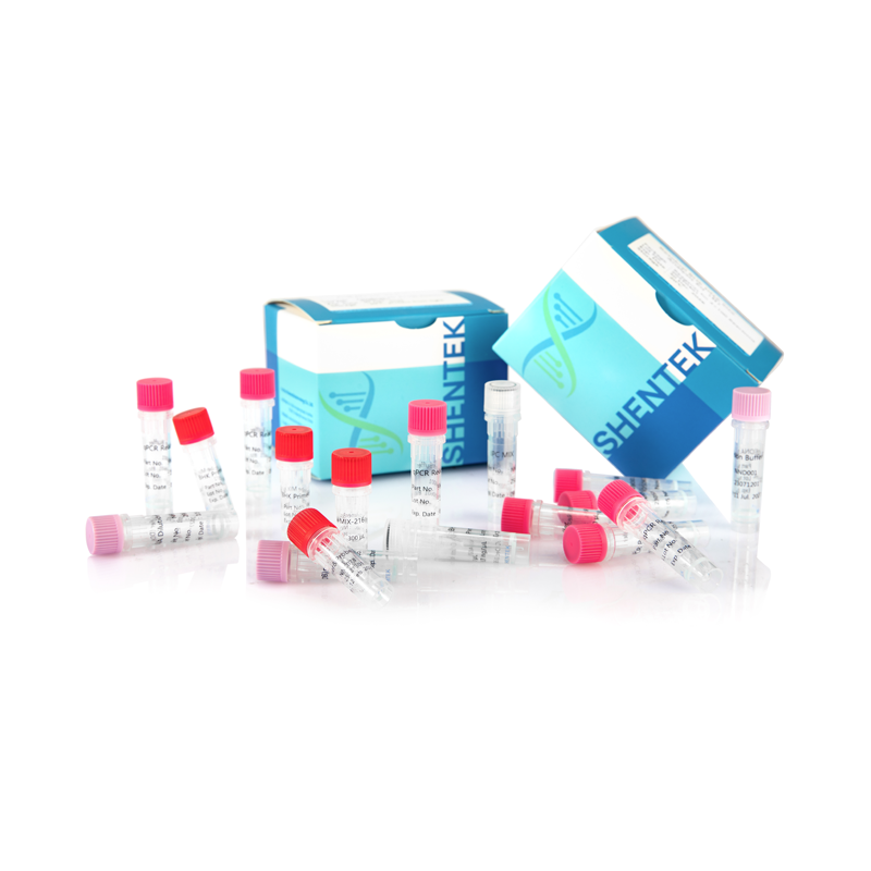 Kit d'analyse de la taille de l'ADN BHK résiduel