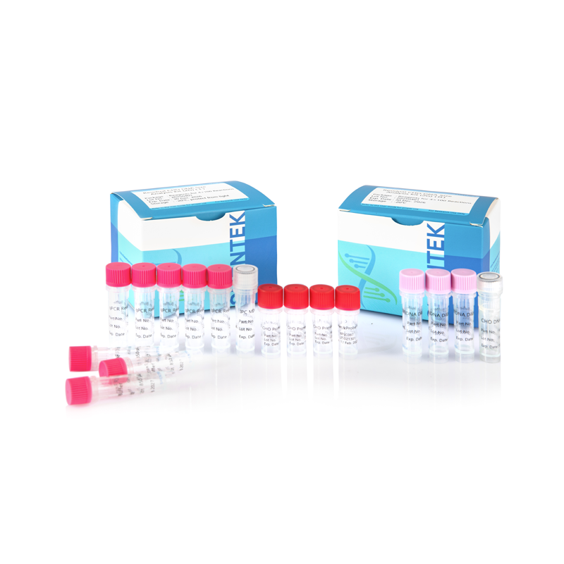 Kit d'analyse de taille d'ADN CHO résiduelle (2G)