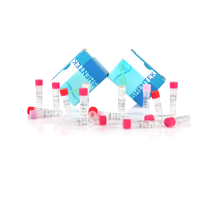 Kit d'analyse de taille d'ADN CHO résiduelle (2G)