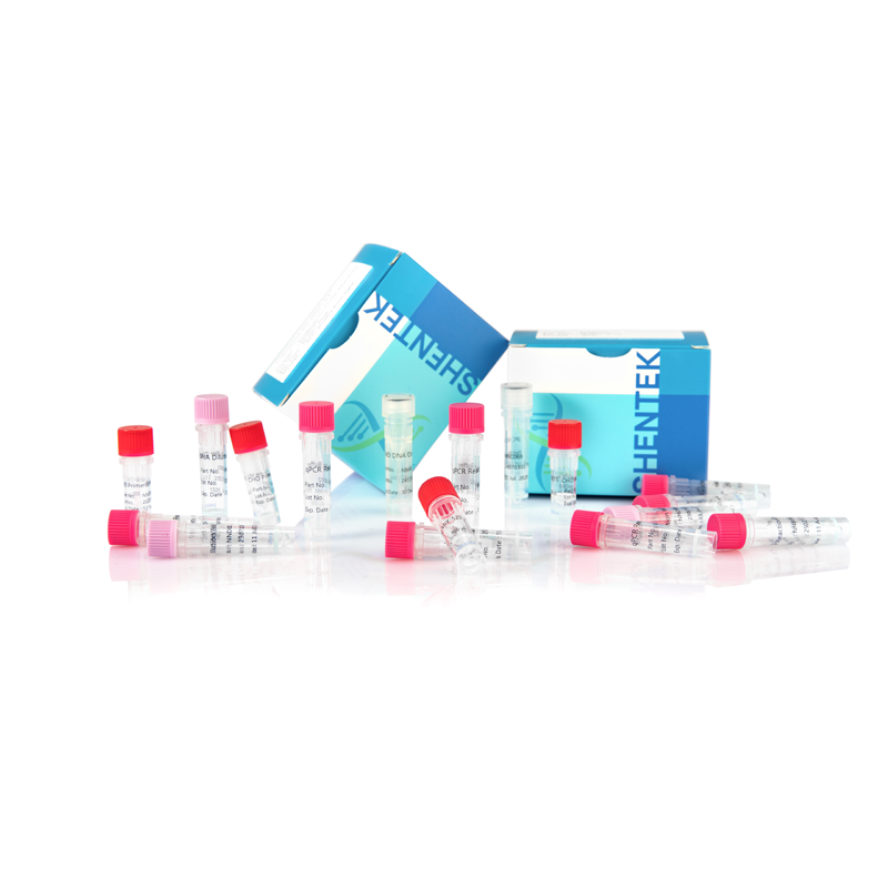 Kit d'analyse de taille d'ADN CHO résiduelle (2G)