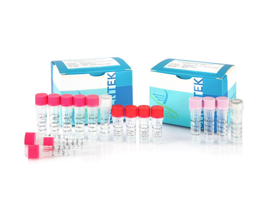 Kit d'analyse de la taille de l'ADN MDCK résiduel