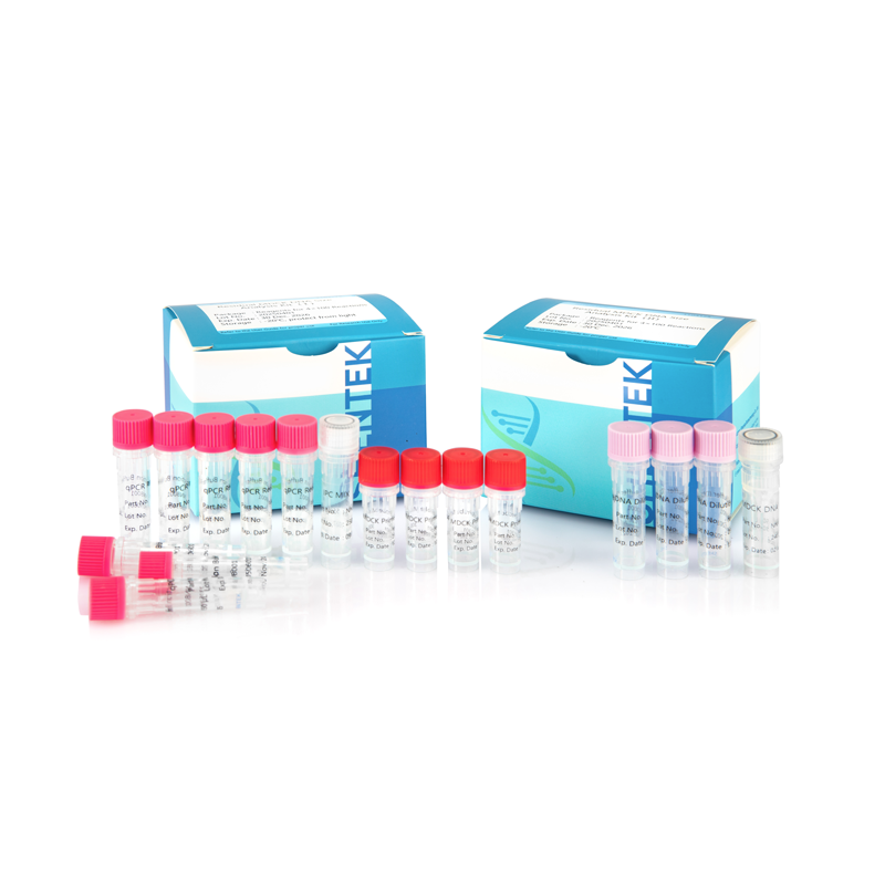 Kit d'analyse de la taille de l'ADN MDCK résiduel