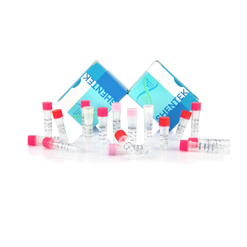 Kit d'analyse de la taille de l'ADN MDCK résiduel