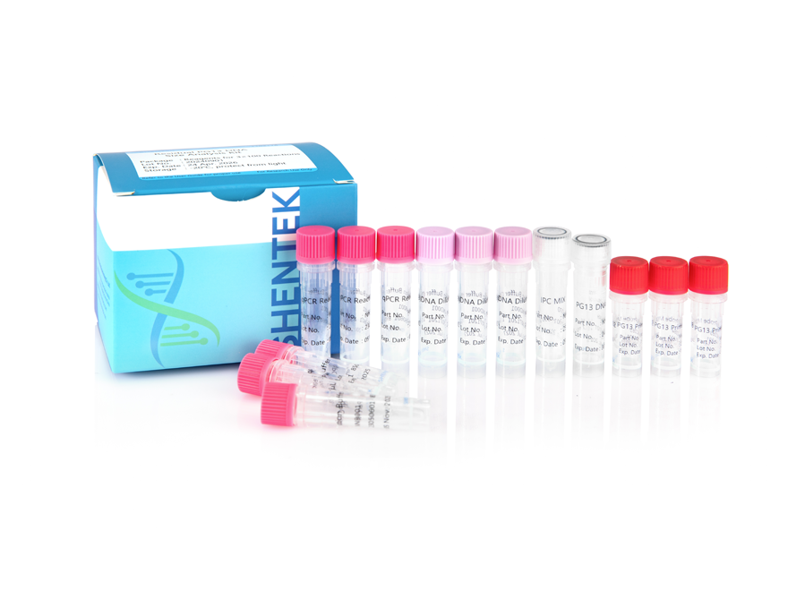 Kit d'analyse de la taille de l'ADN PG13 résiduel