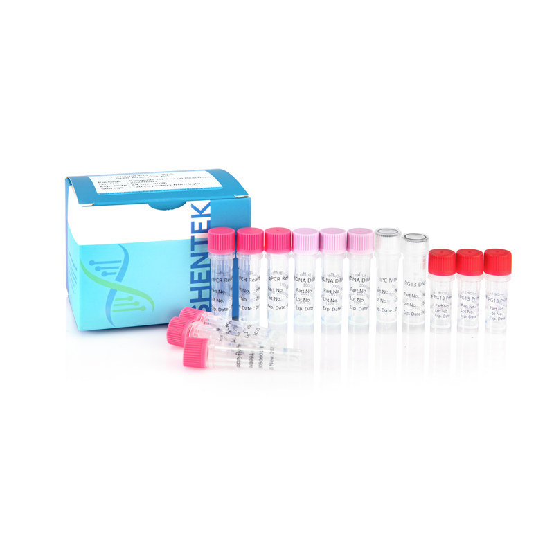 Kit d'analyse de la taille de l'ADN PG13 résiduel