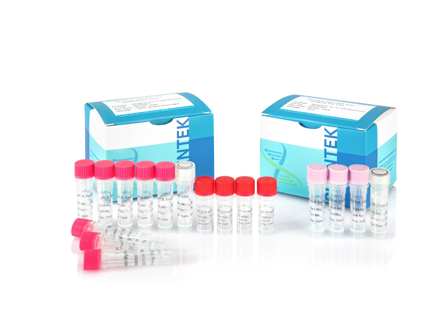 Kit d'analyse résiduel de la taille de l'ADN Sf9