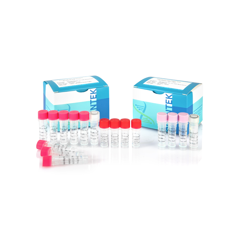 Kit d'analyse résiduel de la taille de l'ADN Sf9