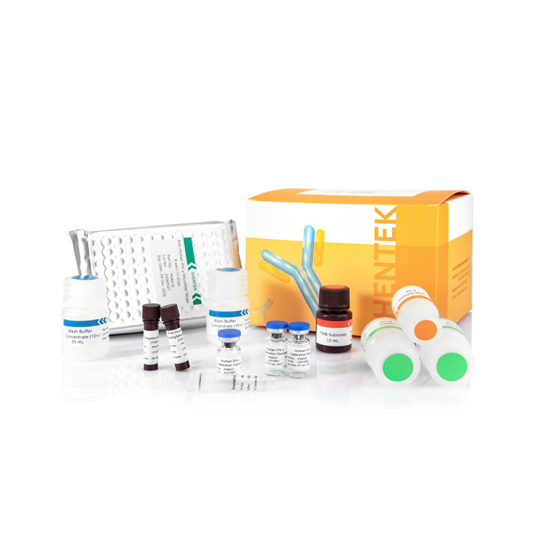 Kit humain d'IFN-γ ELISA