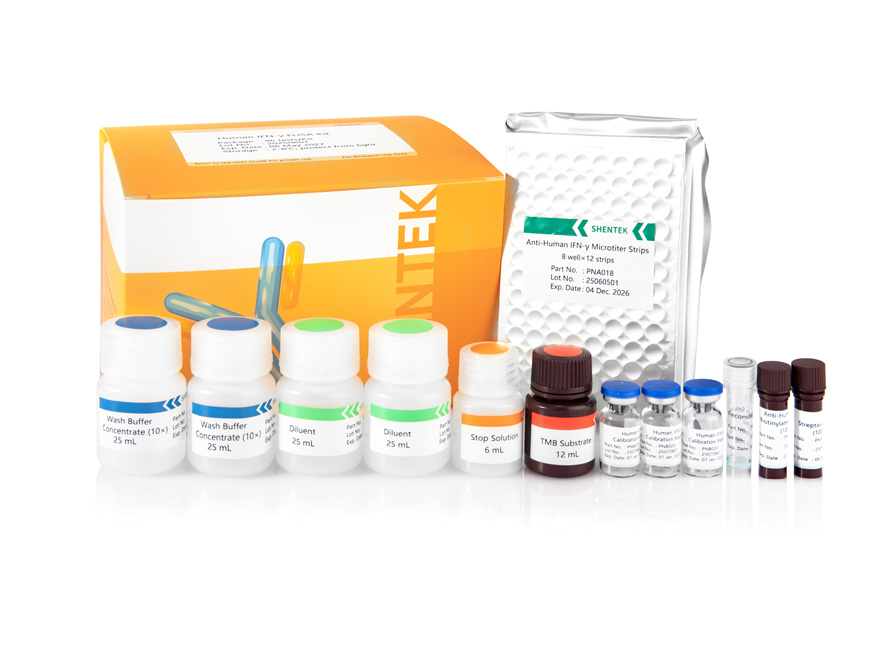 Kit humain d'IFN-γ ELISA