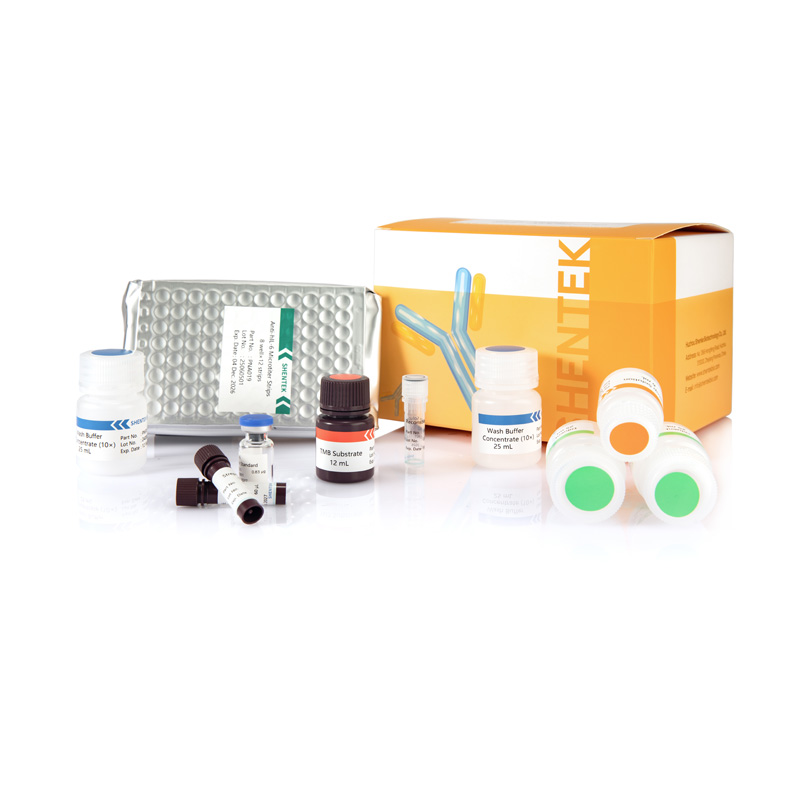 Kit ELISA IL-6 humaine