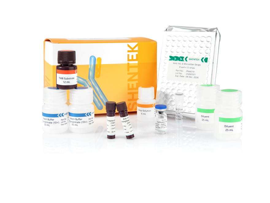 Kit ELISA IL-6 humaine